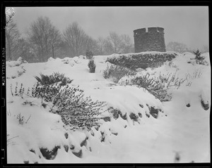 Snow scene in park