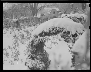 Snow scene in park