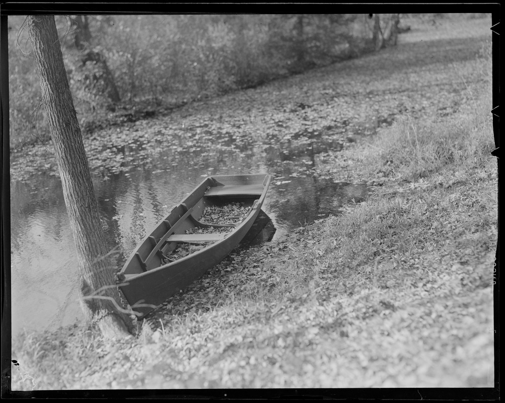 Scenery: Falling leaves at Wellesley College