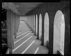 Colonnade, Harvard Stadium