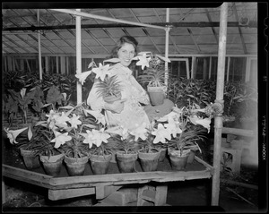 Series on florist, Union Florist - Faneuil Hall St. - sidewalk business, greenhouse location?