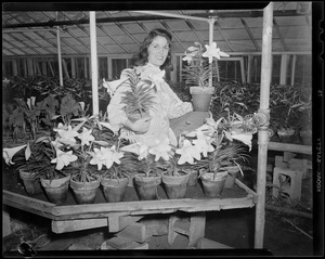 Series on florist, Union Florist - Faneuil Hall St. - sidewalk business, greenhouse location?