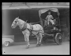 Last meat and poultry carriers, James Robson and Horse "Jetty" from Wilmington