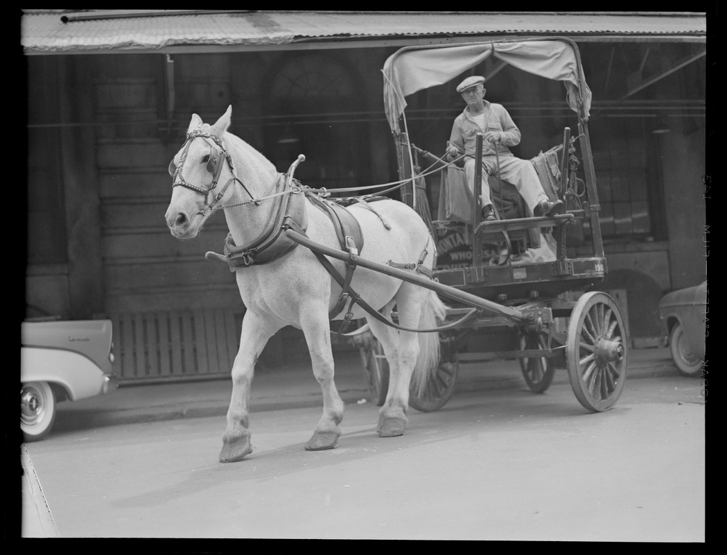 Last meat and poultry carriers, James Robson and Horse "Jetty" from Wilmington