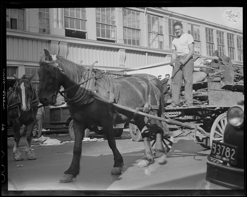 Horse & driver "junk" on wagon