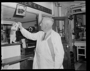 Mr. Kelley, Quincy Market butcher, feeds his cat