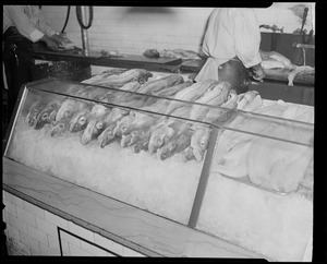 J.A. Sanborn Company, fish dealers, 6 Union Street