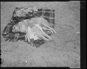 Child and dog relax on beach in South Boston