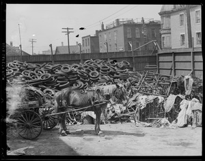 Horse drawn P.W.D. cart at Junk yard in the South End