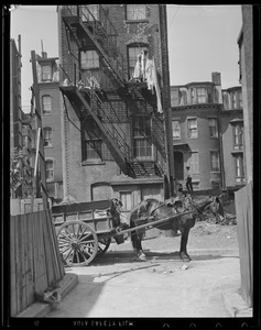 Horse drawn P.W.D. cart collecting garbage in the South End