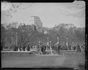 Public Garden and Common from Ritz Carlton
