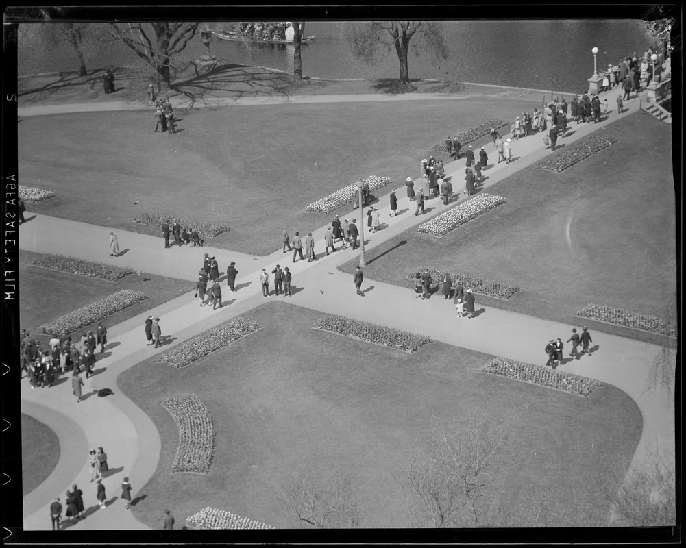 Public Garden Digital Commonwealth