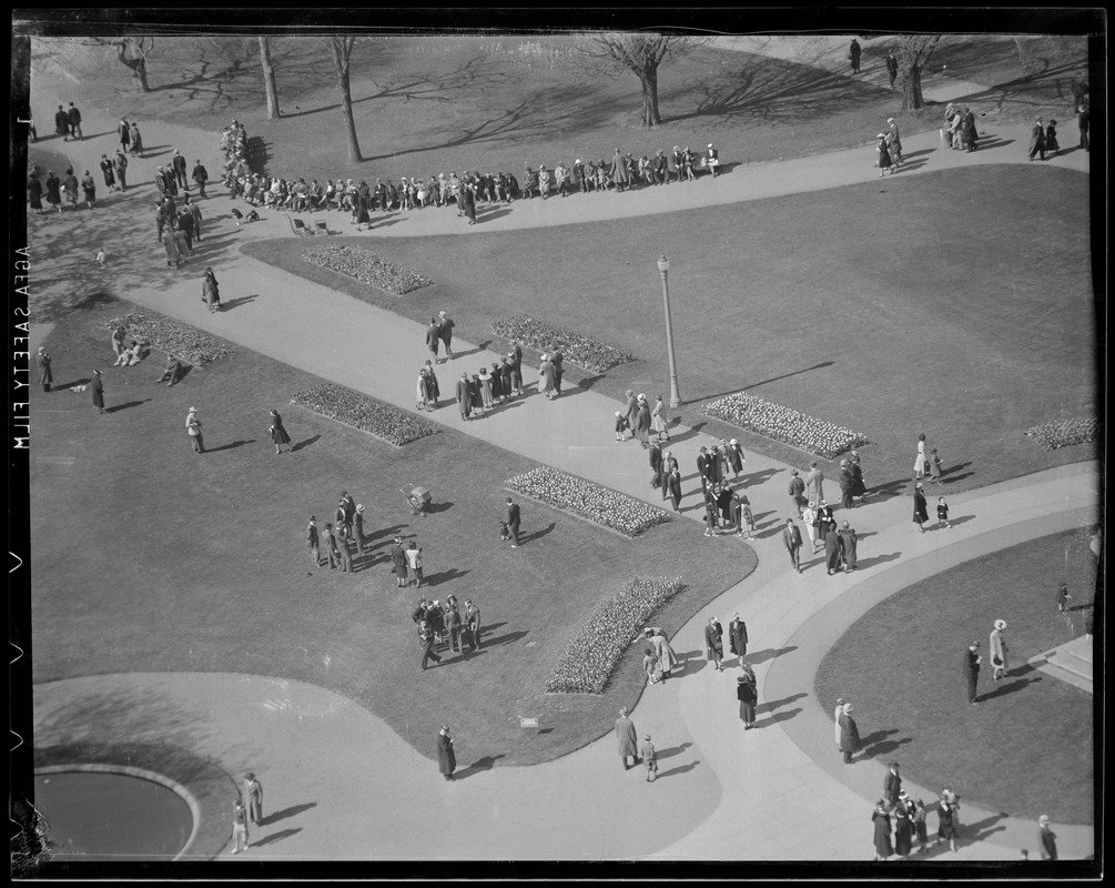 Public Garden Digital Commonwealth