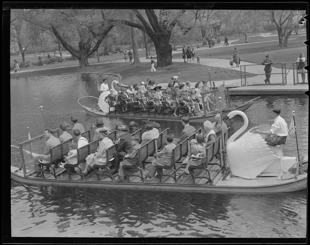 Boston Public Garden Swan Boats