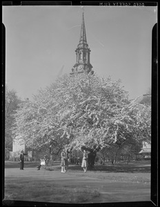 Public Garden