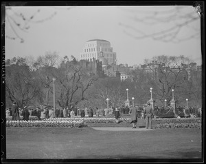 Boston Public Garden