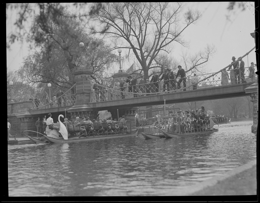 Boston Public Garden Swan Boats, bridge