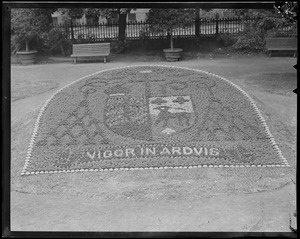 Flowerbed in Public Garden reading "Vigor in Ardvis"