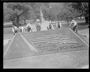 Flowerbed showing Old Glory, "Long May It Wave," Public Garden
