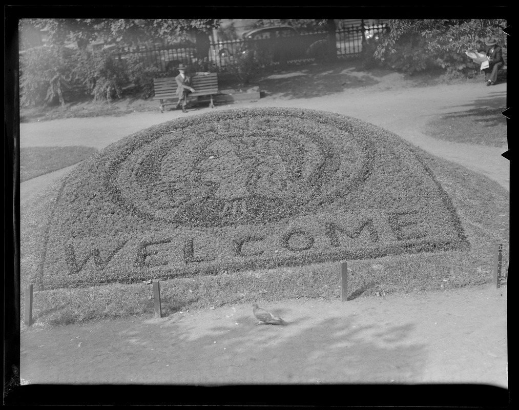 Floral display, Public Garden