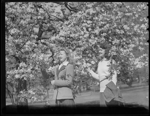 Girls with blossoming tree, Public Garden