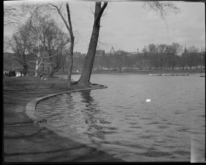 Pond, Public Garden