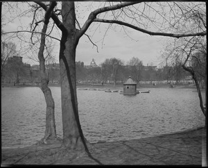 Pond, Public Garden