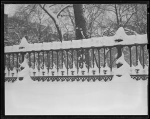 Public Garden fence covered with snow
