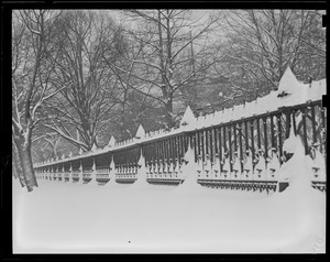 Public Garden fence covered with snow