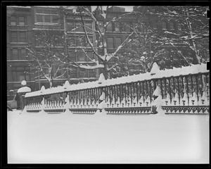 Public Garden fence covered with snow