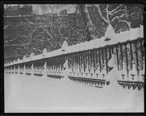 Public Garden fence covered with snow