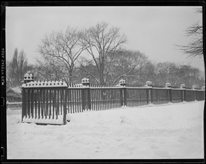 Public Garden fence covered with snow