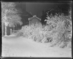 Snow scenes at night, Public Garden