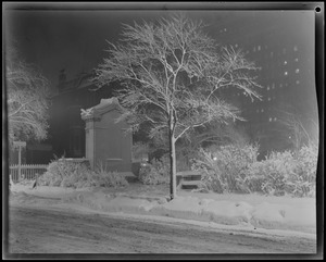 Snow scenes at night, Public Garden