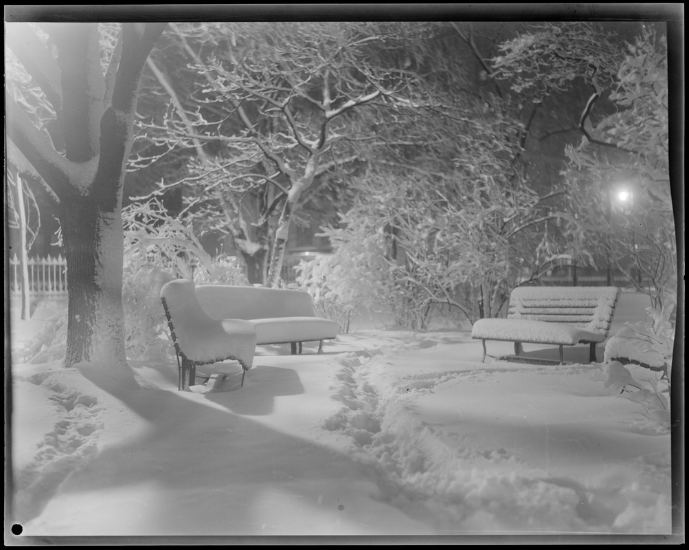 Snow scenes at night, Public Garden
