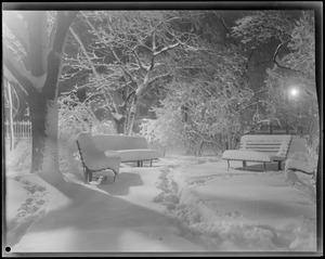 Snow scenes at night, Public Garden