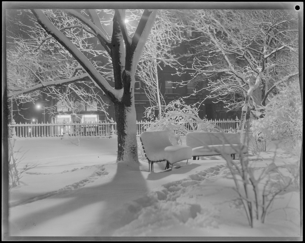 Snow scenes at night, Public Garden