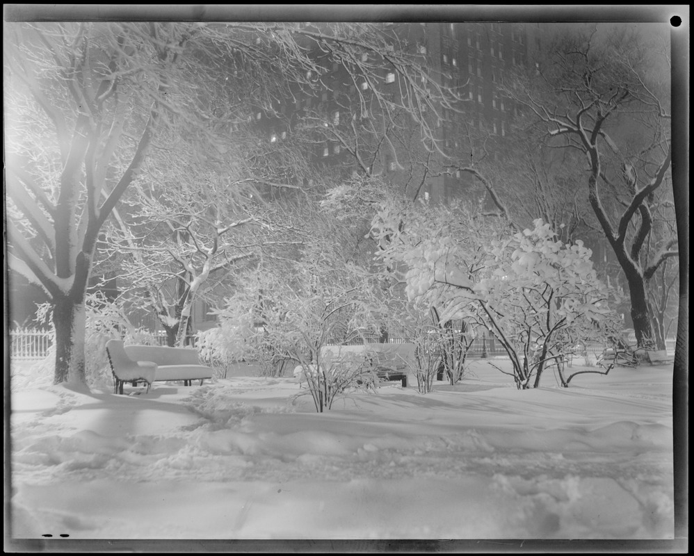 Snow scenes at night, Public Garden