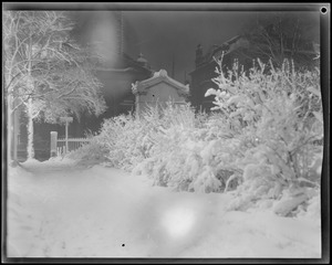 Snow scenes at night, Public Garden