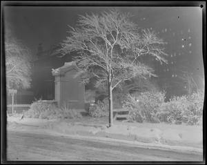 Snow scenes at night, Public Garden