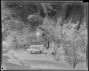 Snow scenes at night, Public Garden