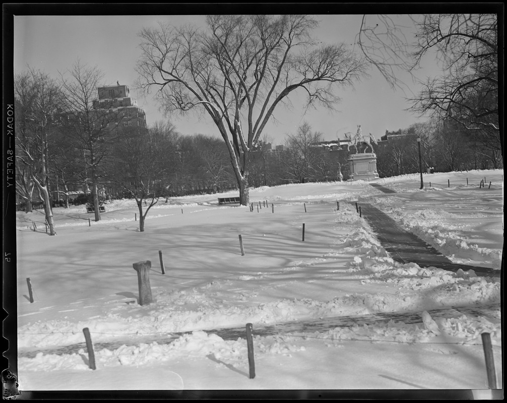 Public Garden and Washington Statue in snow