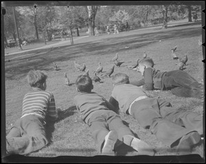 Boys playing, Boston Common