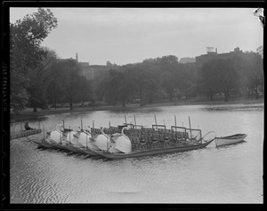 Swan Boats at Public Garden