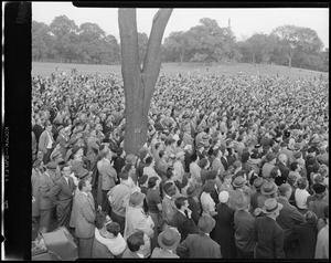 Crowd in park, Common