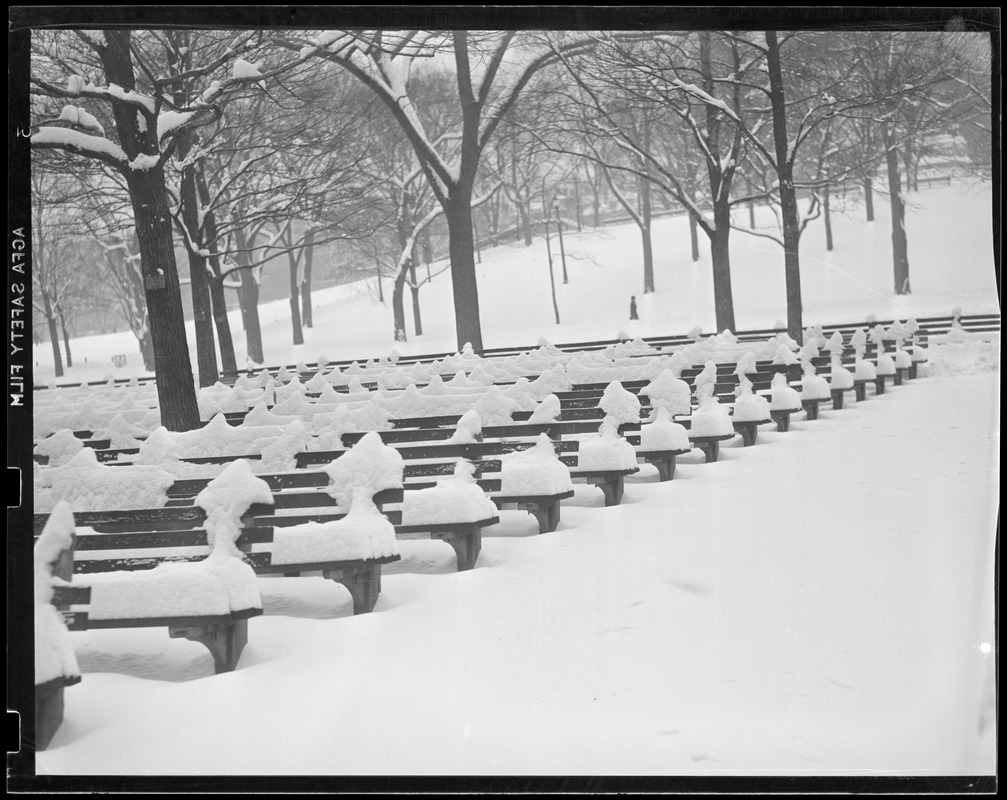 Benches on Common covered in snow