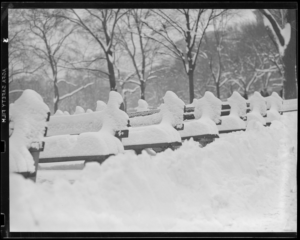 Benches on Common covered in snow