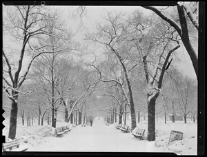Snow on the Boston Common