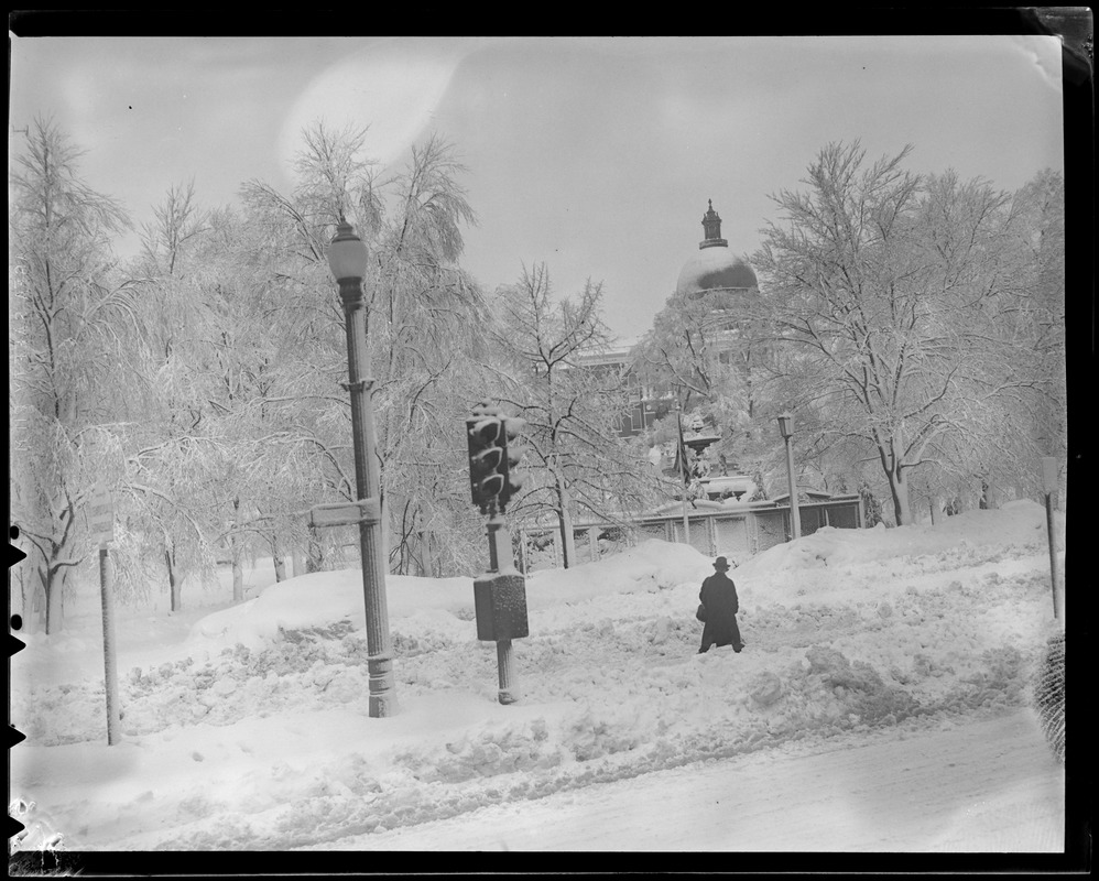 Boston Common and State House dome in the snow