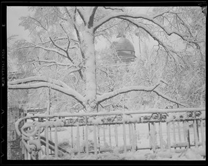 Fence and trees on Boston Common decorated by snow